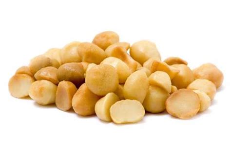 Dry Roasted Macadamia Nuts Salted Macadamia Nuts