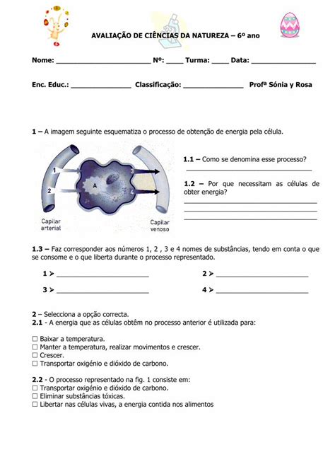 PDF AVALIAÇÃO DE CIÊNCIAS DA NATUREZA 6º ano Nome PDF file1