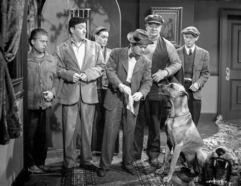 Smuggler's Cove Group of People Looking at the Dog in a Movie Scene