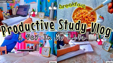 Productive Study Vlog A Day In My Life Lots Of Studying Study