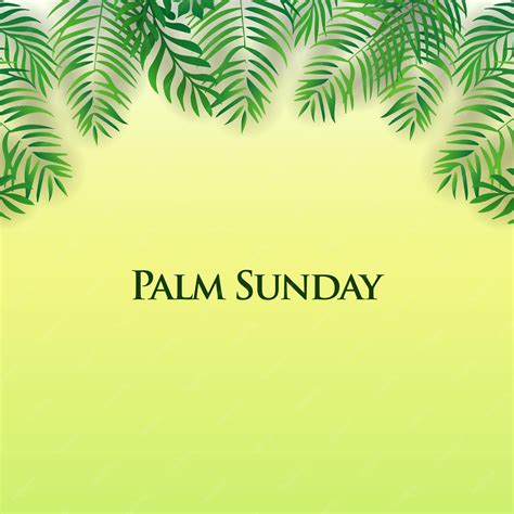 Premium Vector Palm Sunday Background Palm Sunday Vector Palm Sunday