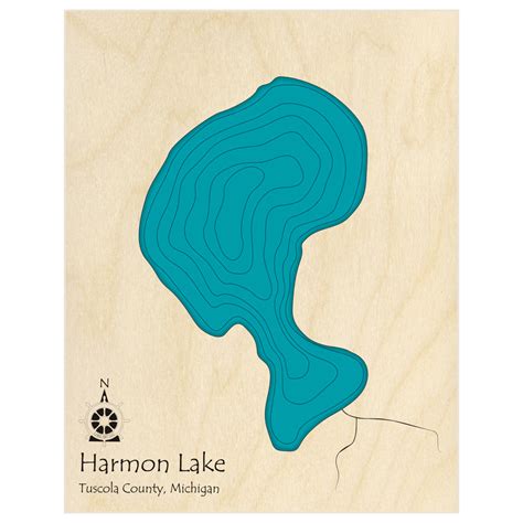 Harmon Lake 3d Custom Wood Map Lake Art Llc