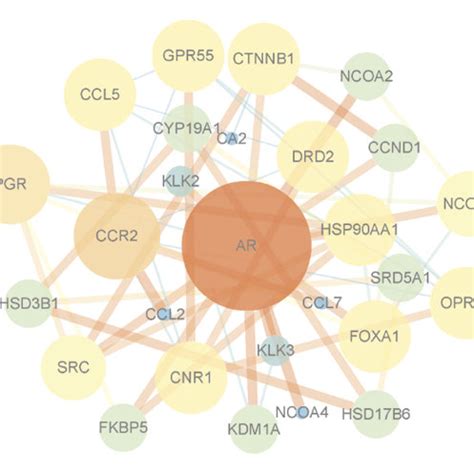 Construction Of Ppi Network Identification Of Core Targets A Ppi