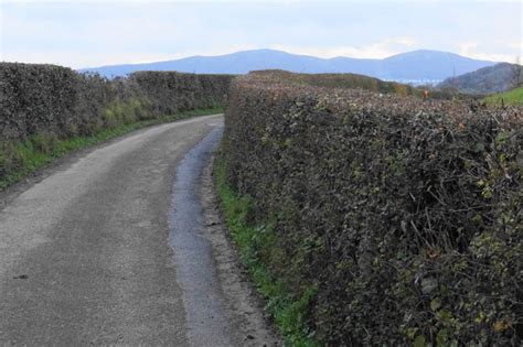 Sheepcote Lane © Bill Boaden Cc By Sa20 Geograph Britain And Ireland