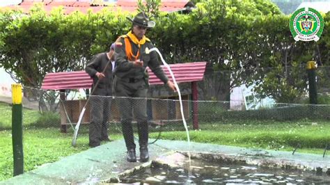 Técnicos agropecuarios Dirección de Carabineros y Seguridad Rural