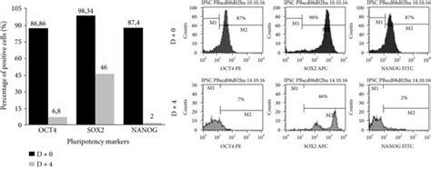 Immunophenotyping Of Cells Obtained After Induction Of Differentiation Download Scientific