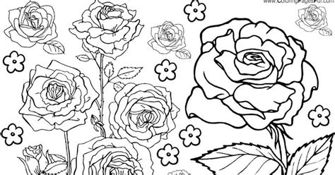 Rose Flower Coloring Pages