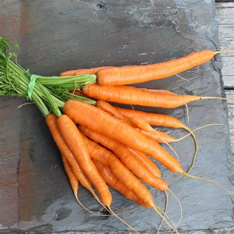 Organic Carrot 500g Anvve Organic And Natural Store At Uae