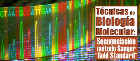 Técnicas De Biología Molecular Secuenciación Método Sanger “gold Standard”