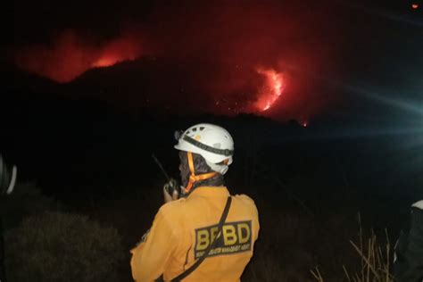 Bpbd Garut Kebakaran Hutan Papandayan Jauh Dari Pemukiman Warga