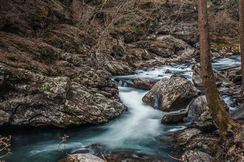 Kostenlose Foto Landschaft Baum Wasser Natur Rock Wasserfall