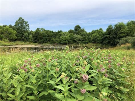 ADVOCACY ALERT: Bles Park Needs Your Voice! - Loudoun Wildlife Conservancy