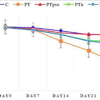 PDF Protection Against Paclitaxel Induced Hyperalgesia And Allodynia