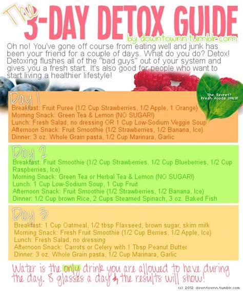 A 3 Day Detox Diet To Reset Your Body — Detox