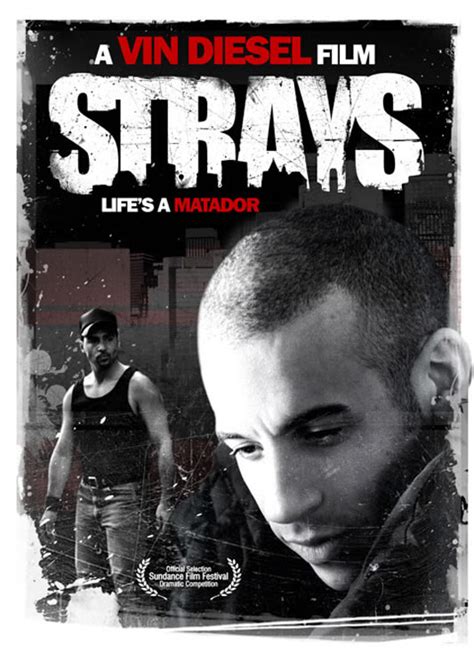 Strays (2008) Poster #1 - Trailer Addict