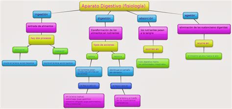 Melani Mapa Conceptual Aparato Digestivo Fisiología