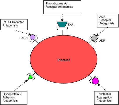 New Antithrombotics The Impact On Global Health Care Thrombosis Research