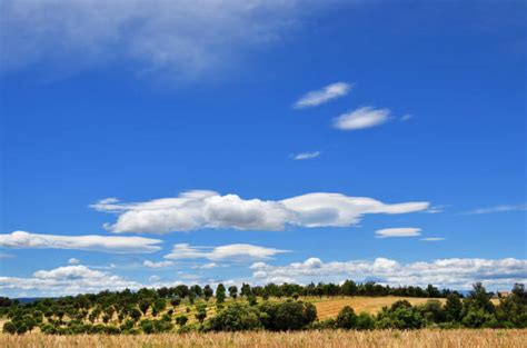 Mistral - Bilder und Stockfotos - iStock