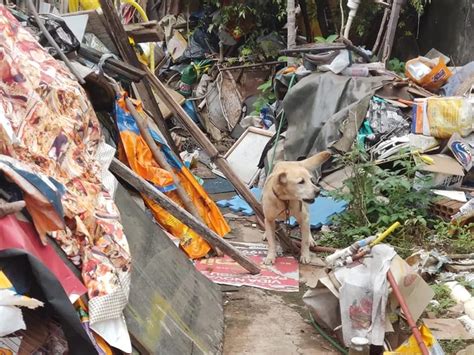 TV Paraguaçu Homem de 72 anos é multado em R 3 mil por maus tratos a