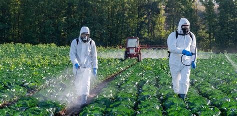 L Usage Des Pesticides En France A Explos Ces Derni Res Ann Es