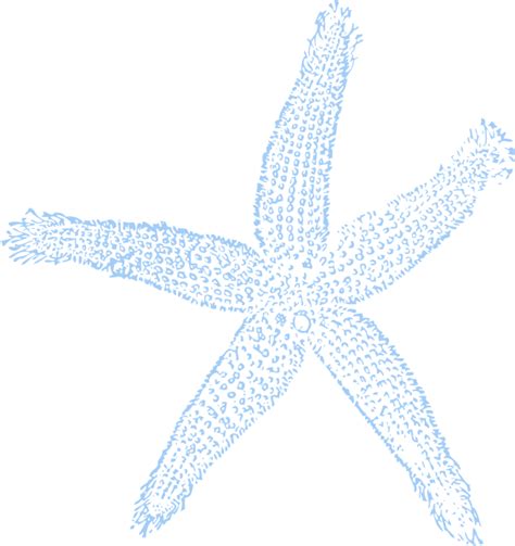 Light Blue Starfish Clip Art At Clker Vector Clip Art Online