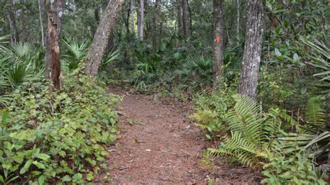 Florida Hikes Trails For Hiking Biking Paddling Camping