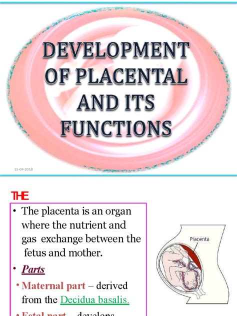 Development of Placenta | PDF | Implantation (Human Embryo) | Placenta