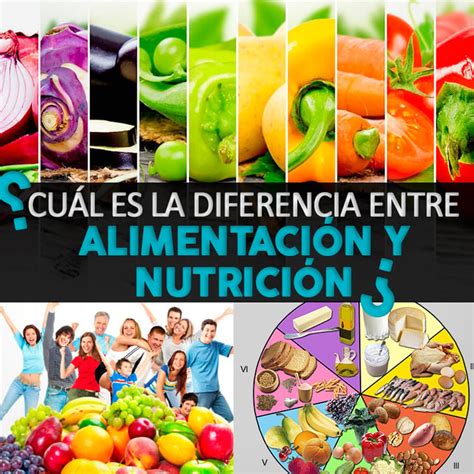 ¿cuál Es La Diferencia Entre Alimentación Y Nutrición La Guía De Las Vitaminas