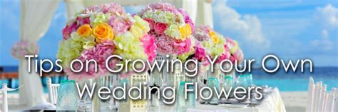 Growing Your Own Wedding Flowers Wedding Day Sparklers