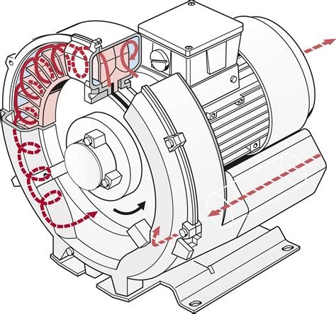 Comment Fonctionne Une Pompe Vide Cenov Distribution