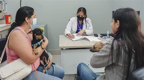 Centro de Bienestar Animal inicia operaciones en Guayaquil con atención