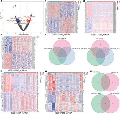 Frontiers Identification Of A Dysregulated CircRNA Associated Gene