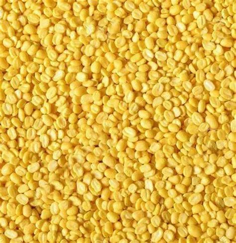 Yellow Moong Dhall High In Protein Packaging Size 10 Kg At Rs 100