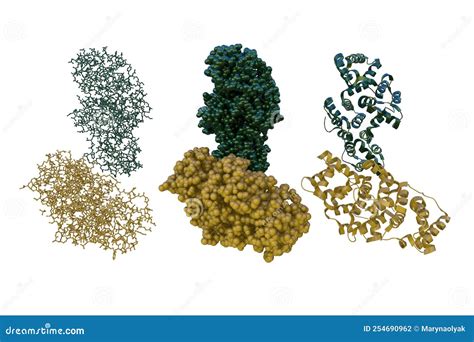 Crystal And Molecular Structure Of Human Annexin V After Refinement