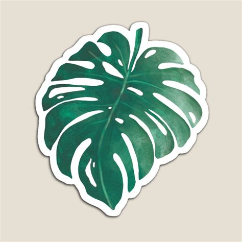 Monstera Leaf Vintage Plant Art Design Magnet For Sale By Sizzlinks