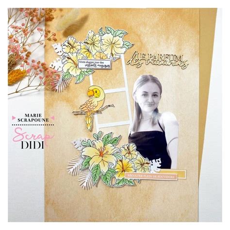 Le Blog Scrap Didi