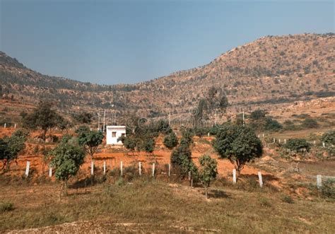 Deccan Plateau Covered With Grasses And Acacia Bushes Stock Photo