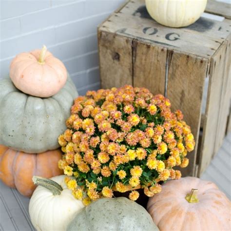 22 Fall Front Porch Ideas {veranda}