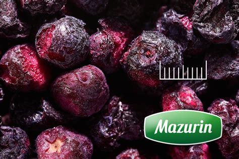 Сублимированные продукты Торгового дома «Мазурин»