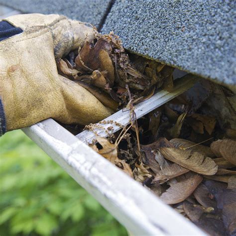 Schoonmaken Dakgoot Eindhoven Coppelmans Reiniging Coppelmans