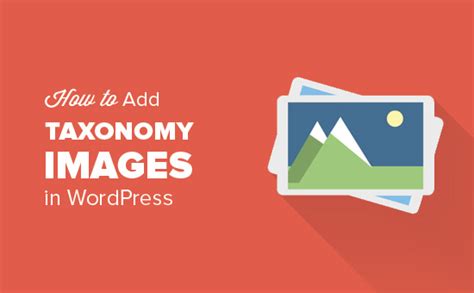 Cómo agregar imágenes de la taxonomía en WordPress Aprender Marketing