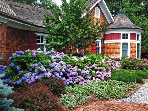 Low Growing Shrubs For Front Of House