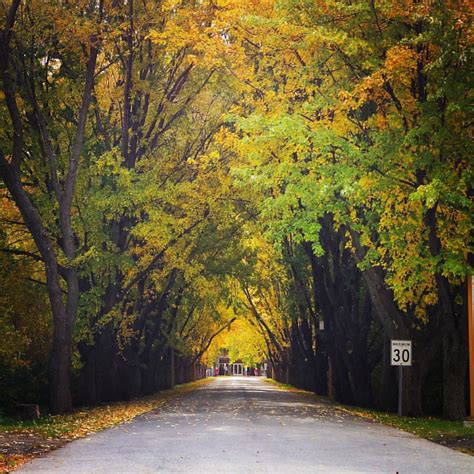 Another Autumn Shot At Boscoville David Bushell Flickr