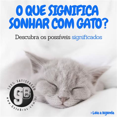 O Que Significa Sonhar Gato Maternidade Hospital Octaviano Neves