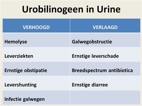 Urobilinogeen In Urine Oorzaken Betekenis Urinal Anatomy Nurse