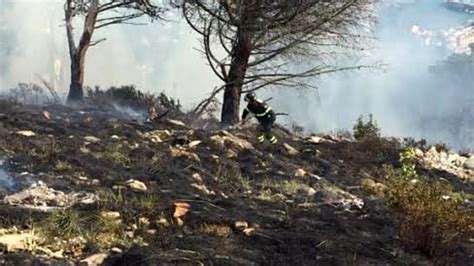 Decretato lo stato di grave pericolosità per gli incendi boschivi in