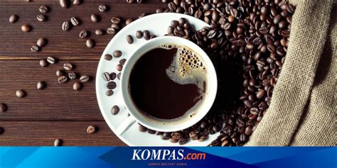 Apa Beda Kopi Arabica Dan Robusta