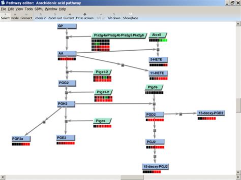 Representative LIPID MAPS pathway in Pathway Editor | Download ...