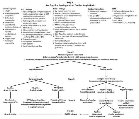 Jcdd Free Full Text Invasive And Non Invasive Diagnostic Pathways