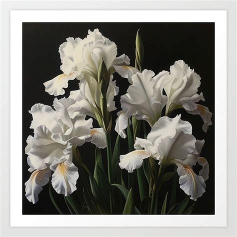 Shop White Irises Art Print By Vanoverdesigns On Society White Iris